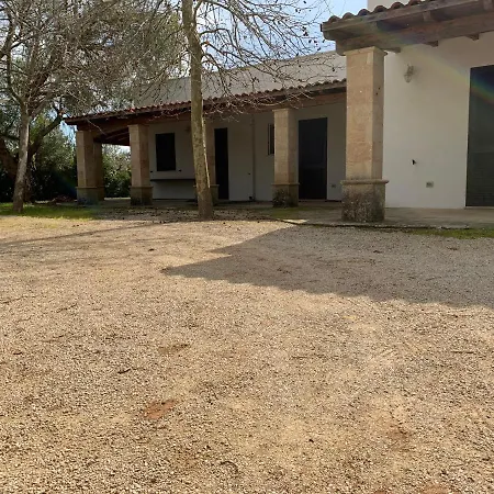 Basalisca *
