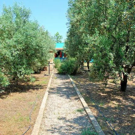 Basalisca Gallipoli