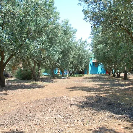 Basalisca